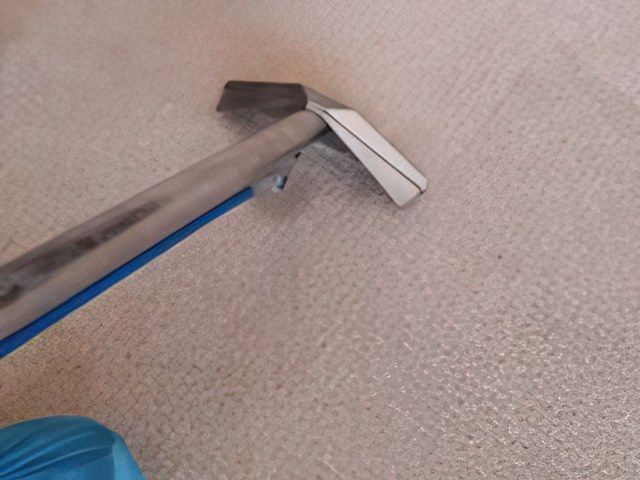 Carpet Cleaning