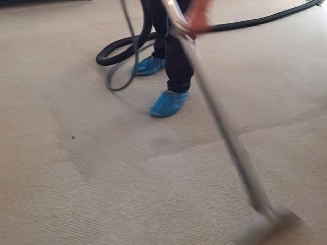 Carpet Cleaning