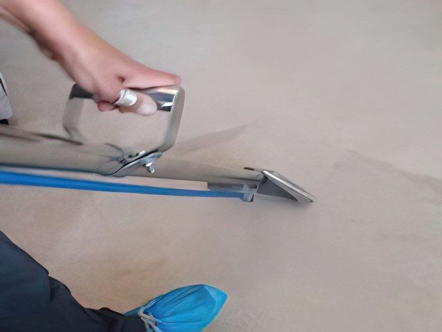 Carpet Cleaning
