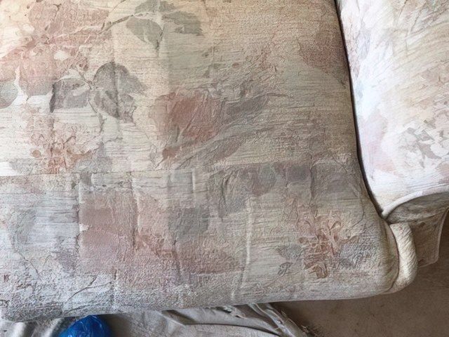 Upholstery Cleaning
