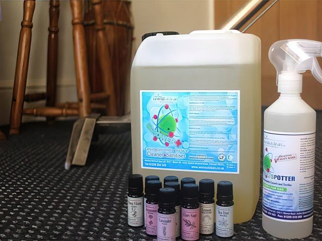 Eco Friendly Carpet Cleaning